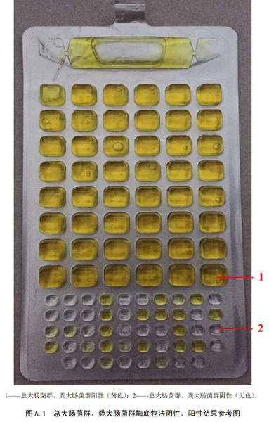 總大腸菌群、糞大腸菌群酶底物法陰性、陽性結(jié)果參考圖